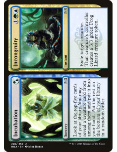 Incubation // Incongruity - Foil