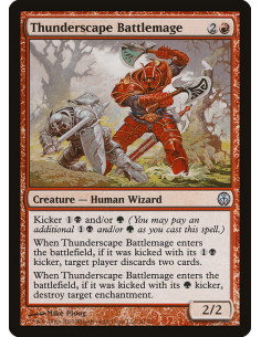 Thunderscape Battlemage