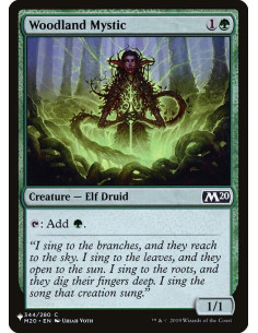 Woodland Mystic