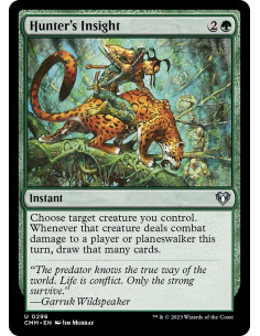 Hunter's Insight - Foil