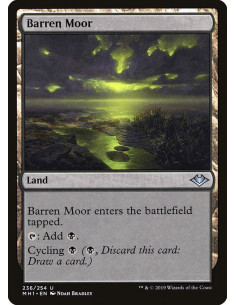 Barren Moor - Foil