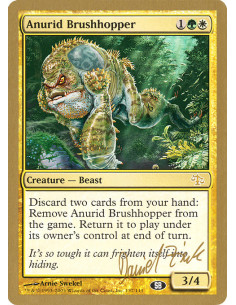 Anurid Brushhopper