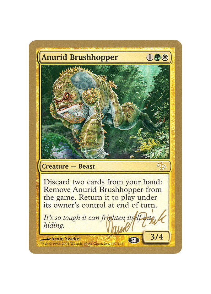Anurid Brushhopper