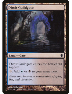 Dimir Guildgate