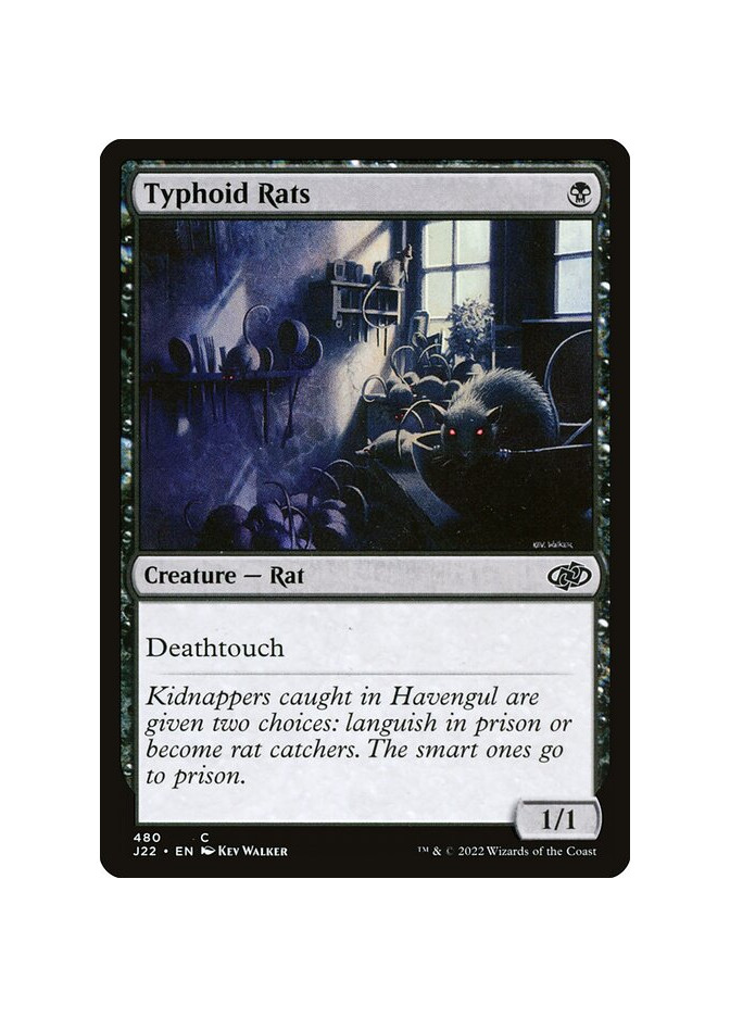 Typhoid Rats