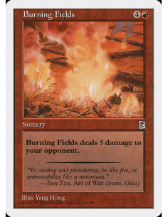 Burning Fields