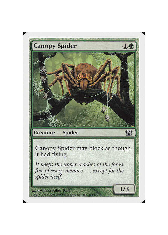 Canopy Spider