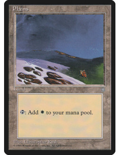 Plains