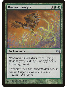 Raking Canopy - Foil
