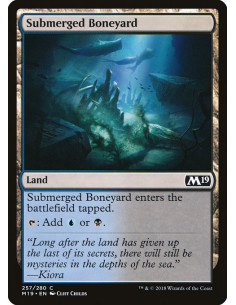 Submerged Boneyard