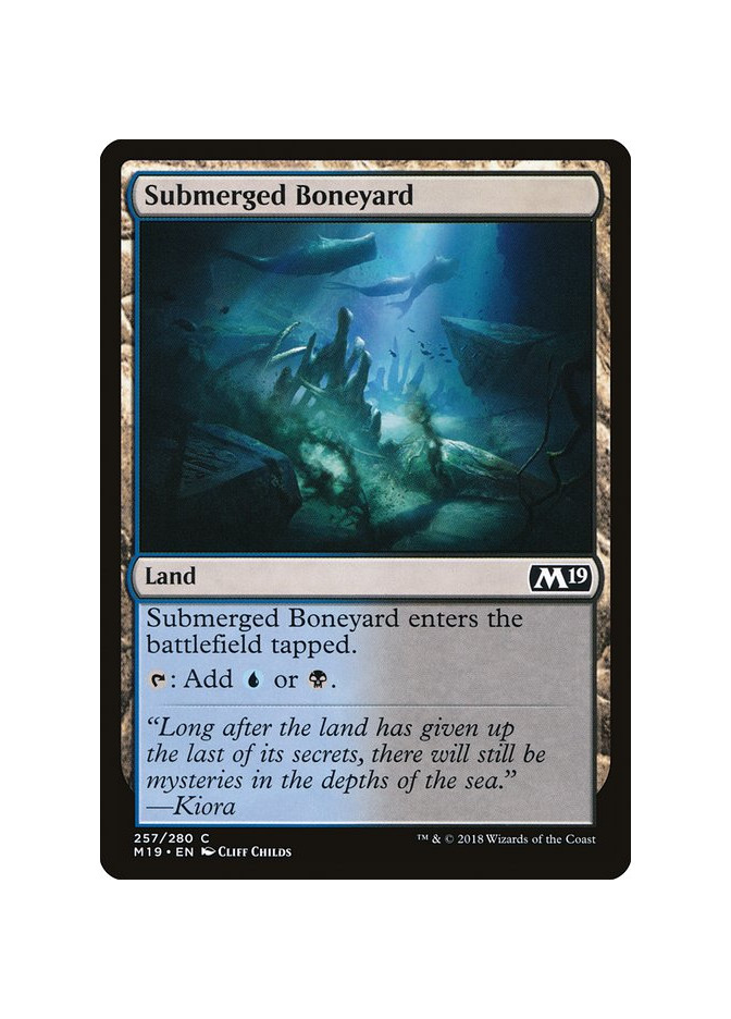 Submerged Boneyard