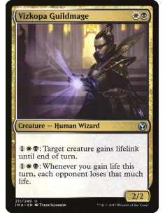 Vizkopa Guildmage