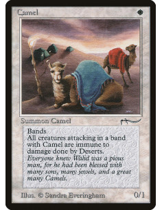 Camel