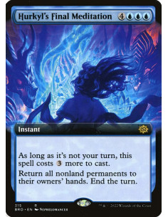 Hurkyl's Final Meditation