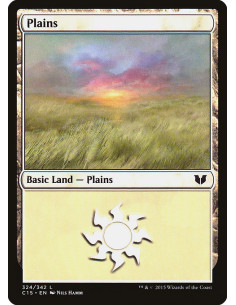 Plains