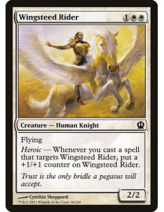 Wingsteed Rider - Foil