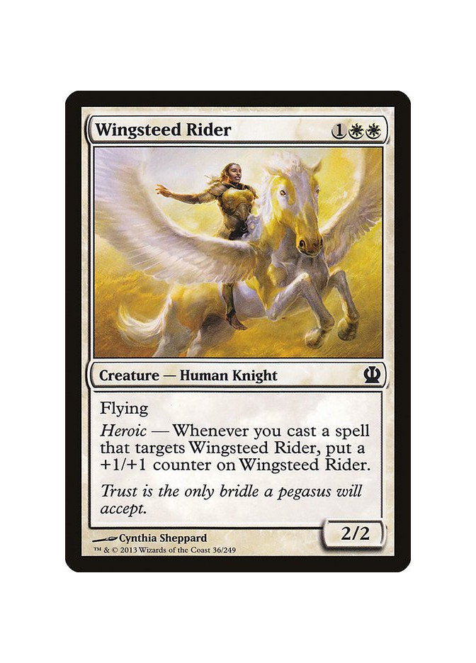 Wingsteed Rider - Foil