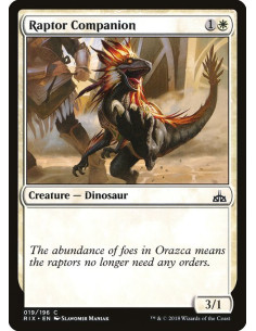 Raptor Companion