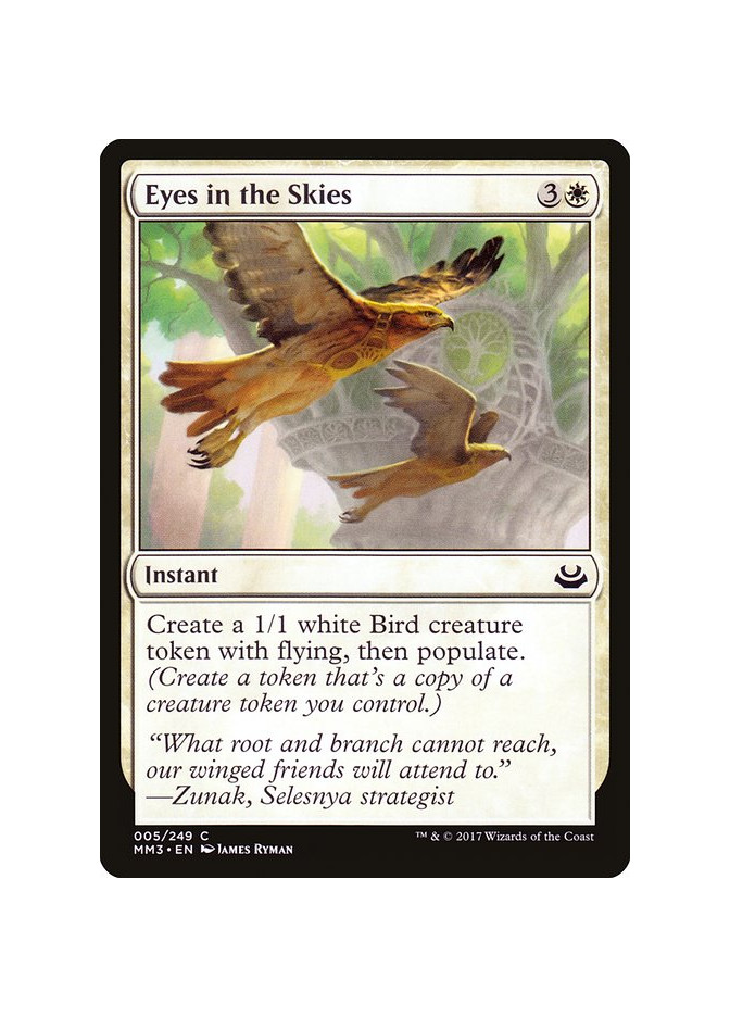 Eyes in the Skies