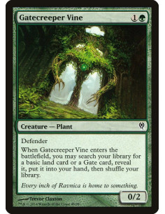 Gatecreeper Vine