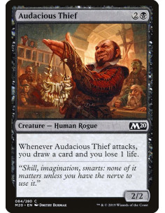 Audacious Thief