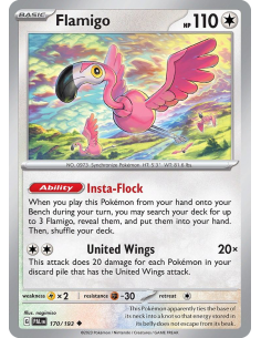 Flamigo