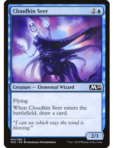 Cloudkin Seer