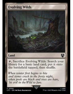 Evolving Wilds