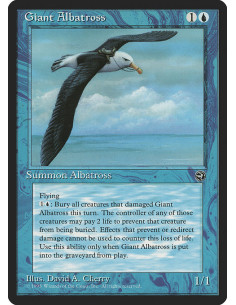 Giant Albatross