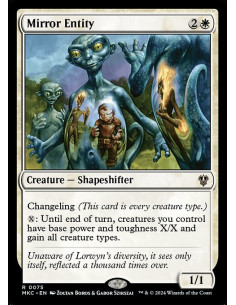 Mirror Entity