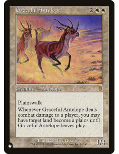 Graceful Antelope