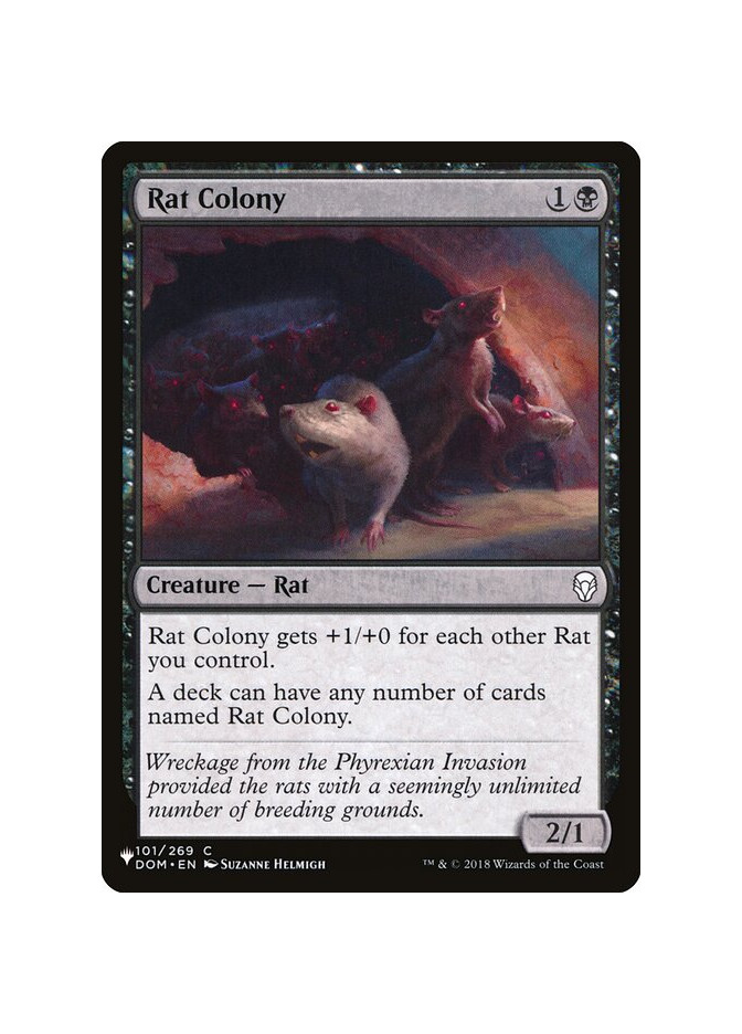 Rat Colony