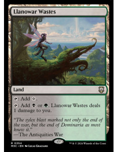 Llanowar Wastes