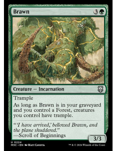 Brawn - Foil