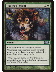 Hunter's Insight - Foil