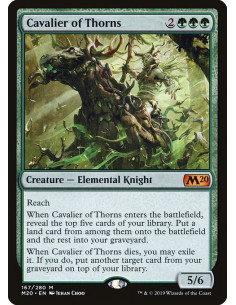 Cavalier of Thorns