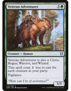 Veteran Adventurer