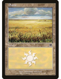 Plains - Foil