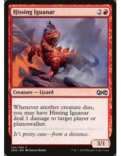 Hissing Iguanar
