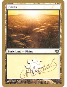 Plains