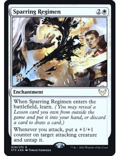 Sparring Regimen - Foil