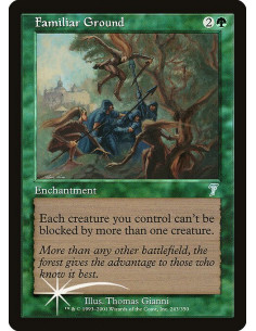 Familiar Ground - Foil