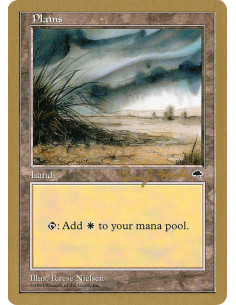Plains