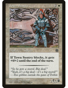 Town Sentry