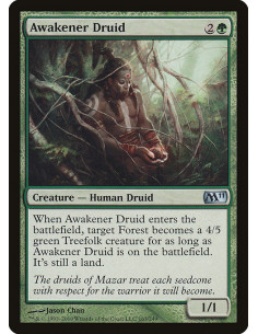 Awakener Druid