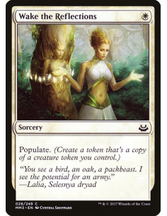 Wake the Reflections - Foil