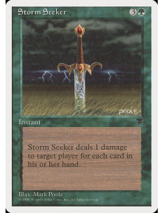 Storm Seeker
