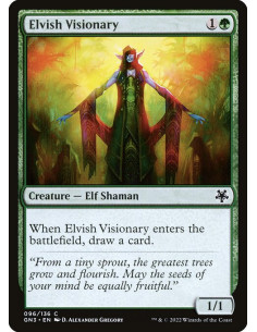 Elvish Visionary