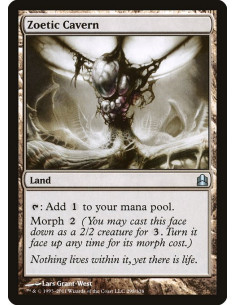 Zoetic Cavern