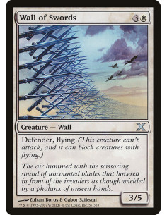 Wall of Swords